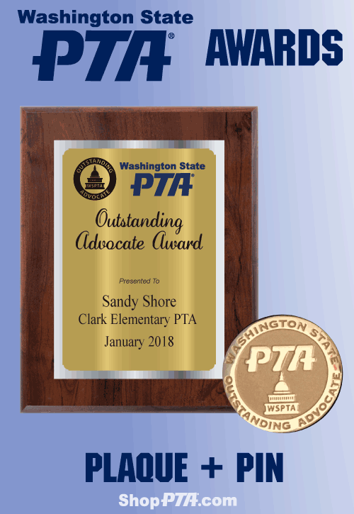 Outstanding Advocate Award: Plaque + Pin