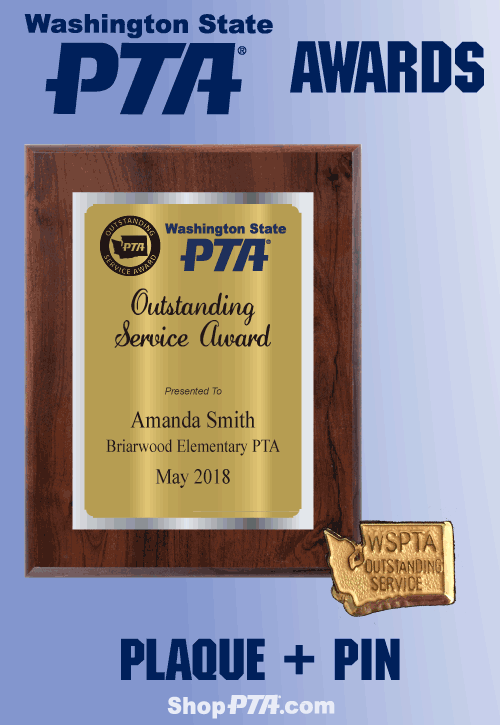 Outstanding Service Award: Plaque + Pin