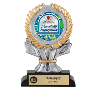 PTA Reflections- Gold Coronet Trophy