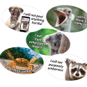 Anti-Bullying Awareness Animals- Personal Pledge Stickers