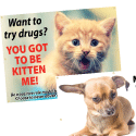 Drug Awareness Animals- Outdoor Banners