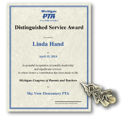 Distinguished Service Award: Certificate + Pin