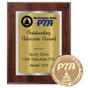 Outstanding Advocate Award: Plaque + Pin