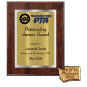 Outstanding Service Award: Plaque + Pin