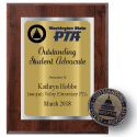 Outstanding Student Advocate: Plaque + Pin